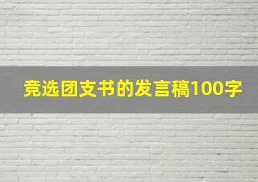 竞选团支书的发言稿100字