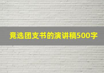 竞选团支书的演讲稿500字