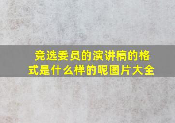 竞选委员的演讲稿的格式是什么样的呢图片大全