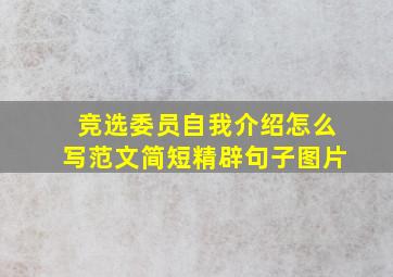 竞选委员自我介绍怎么写范文简短精辟句子图片