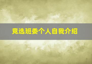 竞选班委个人自我介绍