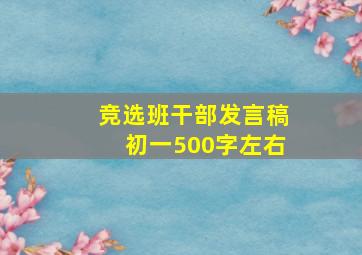 竞选班干部发言稿初一500字左右