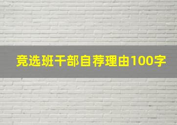 竞选班干部自荐理由100字