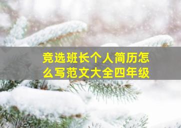 竞选班长个人简历怎么写范文大全四年级