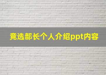 竞选部长个人介绍ppt内容