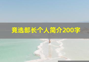 竞选部长个人简介200字