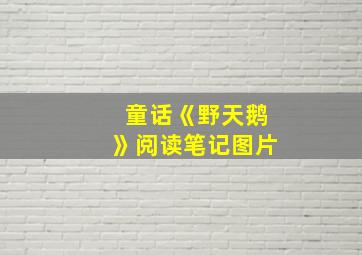 童话《野天鹅》阅读笔记图片