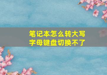 笔记本怎么转大写字母键盘切换不了