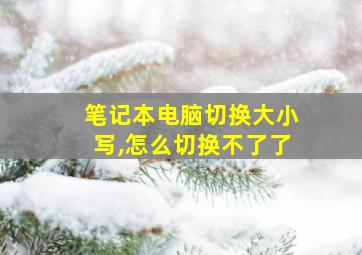 笔记本电脑切换大小写,怎么切换不了了