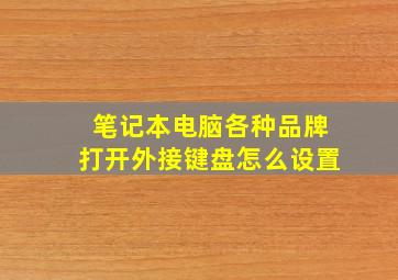 笔记本电脑各种品牌打开外接键盘怎么设置