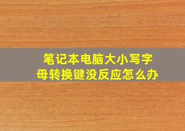 笔记本电脑大小写字母转换键没反应怎么办