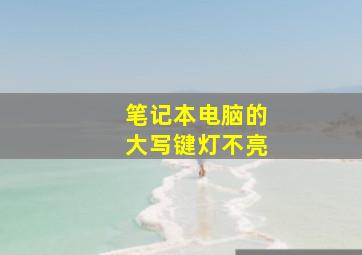 笔记本电脑的大写键灯不亮