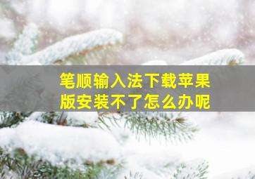 笔顺输入法下载苹果版安装不了怎么办呢