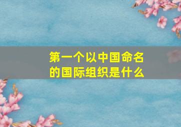 第一个以中国命名的国际组织是什么