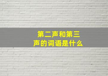 第二声和第三声的词语是什么