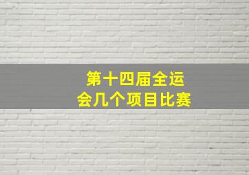 第十四届全运会几个项目比赛