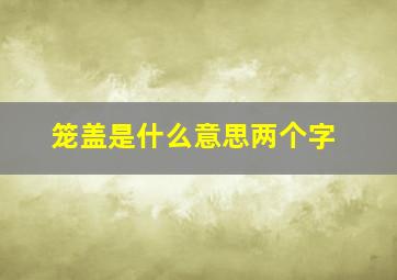 笼盖是什么意思两个字