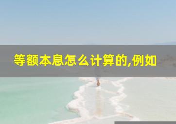 等额本息怎么计算的,例如