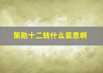 策勋十二转什么意思啊