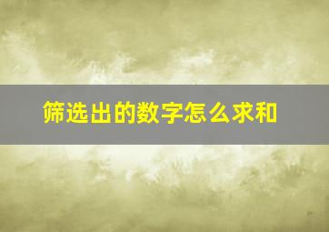 筛选出的数字怎么求和