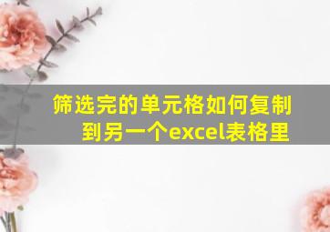 筛选完的单元格如何复制到另一个excel表格里