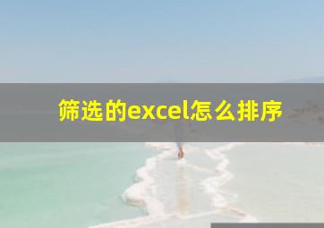 筛选的excel怎么排序