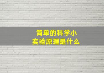 简单的科学小实验原理是什么