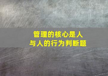 管理的核心是人与人的行为判断题