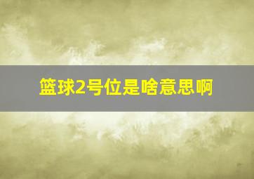 篮球2号位是啥意思啊