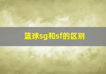 篮球sg和sf的区别