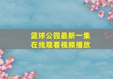 篮球公园最新一集在线观看视频播放