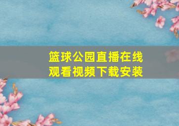 篮球公园直播在线观看视频下载安装