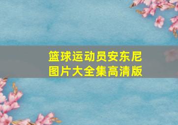 篮球运动员安东尼图片大全集高清版