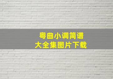 粤曲小调简谱大全集图片下载