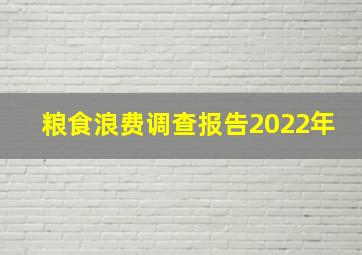 粮食浪费调查报告2022年