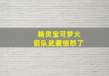 精灵宝可梦火箭队武藏愤怒了