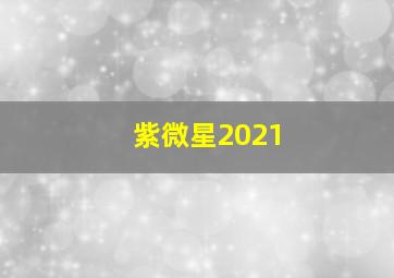 紫微星2021