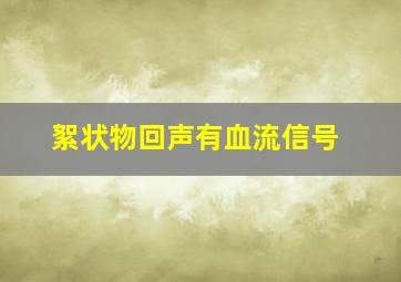 絮状物回声有血流信号