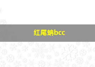 红尾蚺bcc