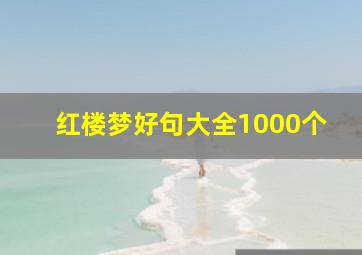 红楼梦好句大全1000个