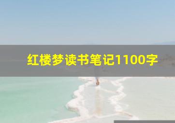 红楼梦读书笔记1100字