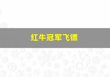 红牛冠军飞镖