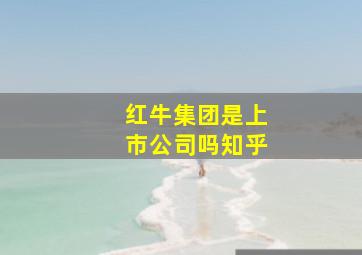 红牛集团是上市公司吗知乎