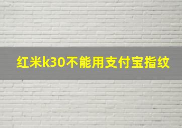 红米k30不能用支付宝指纹