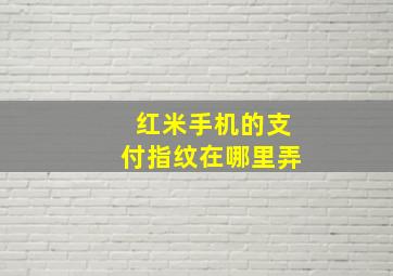 红米手机的支付指纹在哪里弄