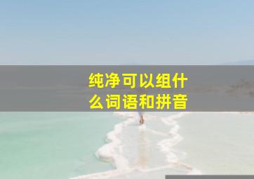 纯净可以组什么词语和拼音