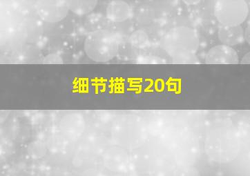 细节描写20句