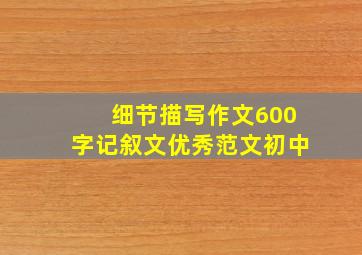 细节描写作文600字记叙文优秀范文初中