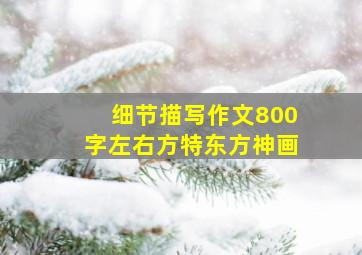 细节描写作文800字左右方特东方神画