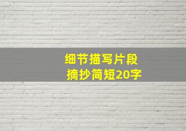 细节描写片段摘抄简短20字